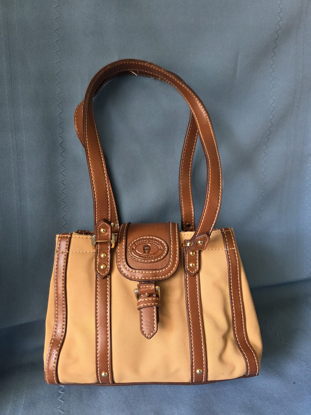Etienne Aigner Y2K Mini Canvas & Leather Satchel Gold Hardware